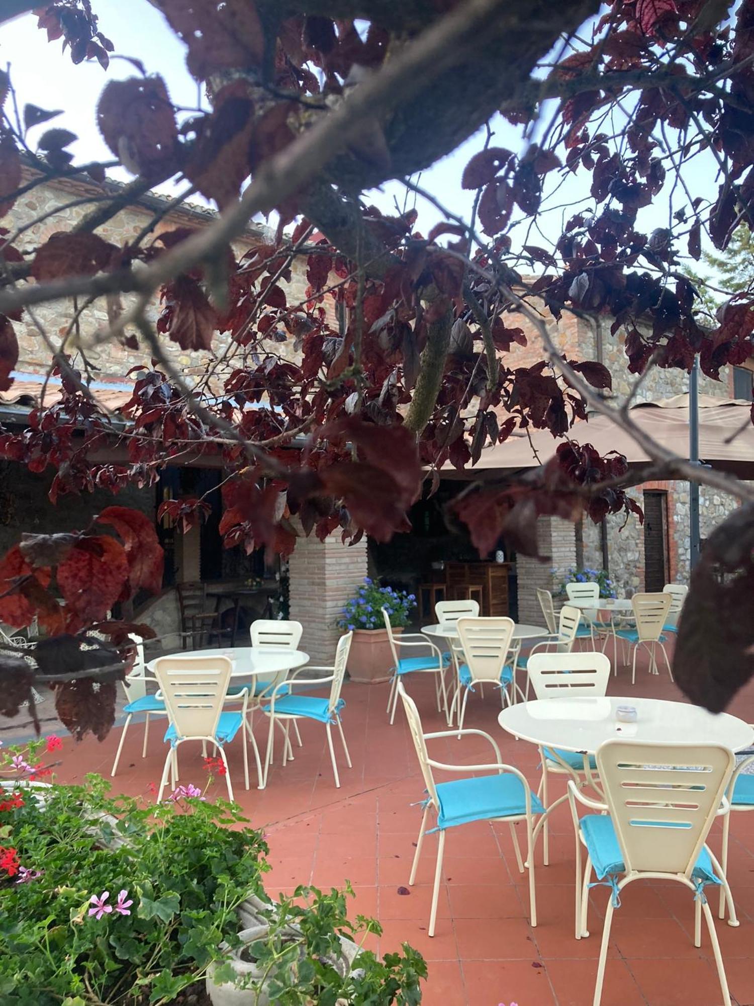 Country House La Collina Di Bargiano - Casa Raffaella Allerona Экстерьер фото