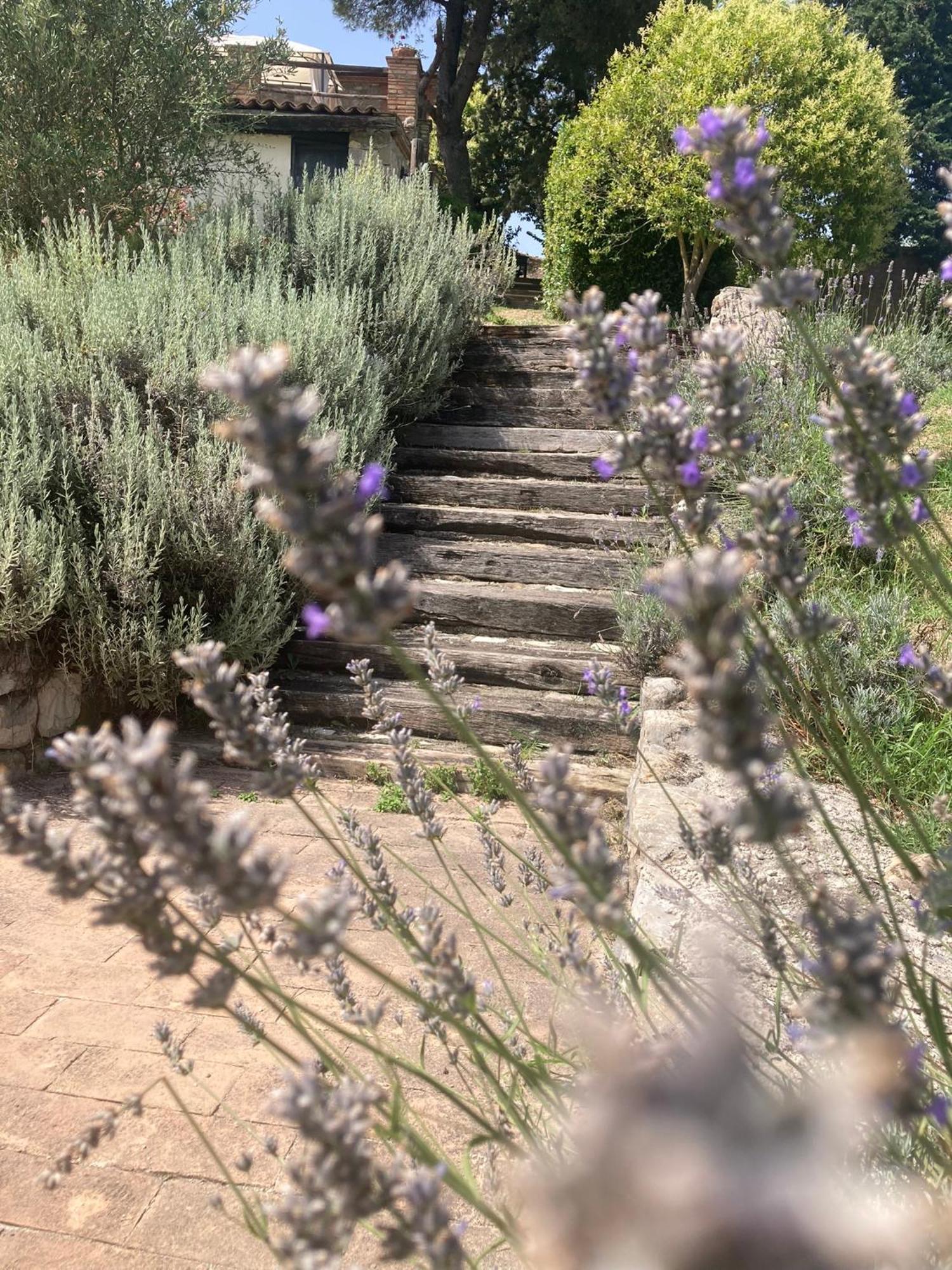 Country House La Collina Di Bargiano - Casa Raffaella Allerona Экстерьер фото